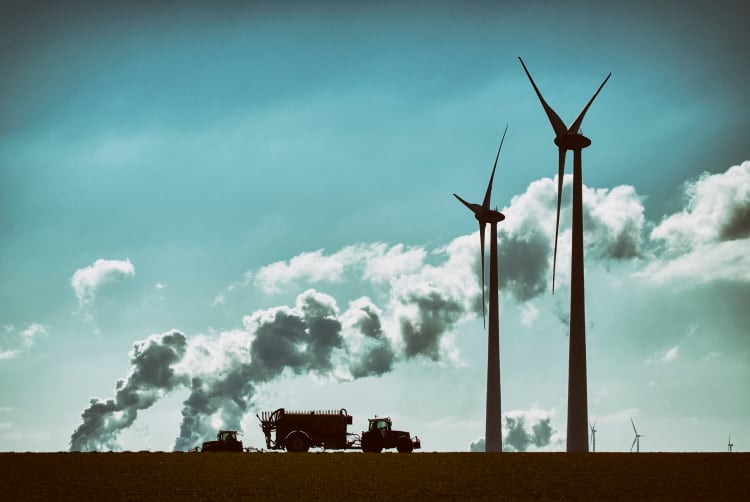 More than one third of meat and dairy companies are yet to publish sustainability targets – ING