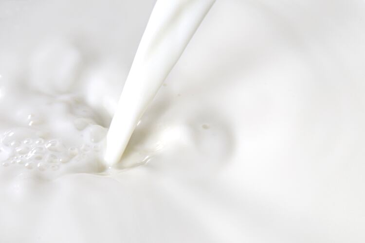 Maxum Foods’ April global dairy commodity update
