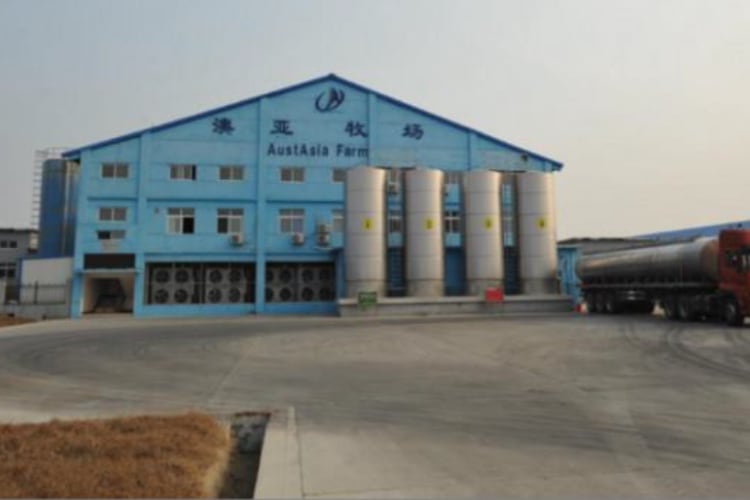 Meiji buys stake in Chinese dairy farm company