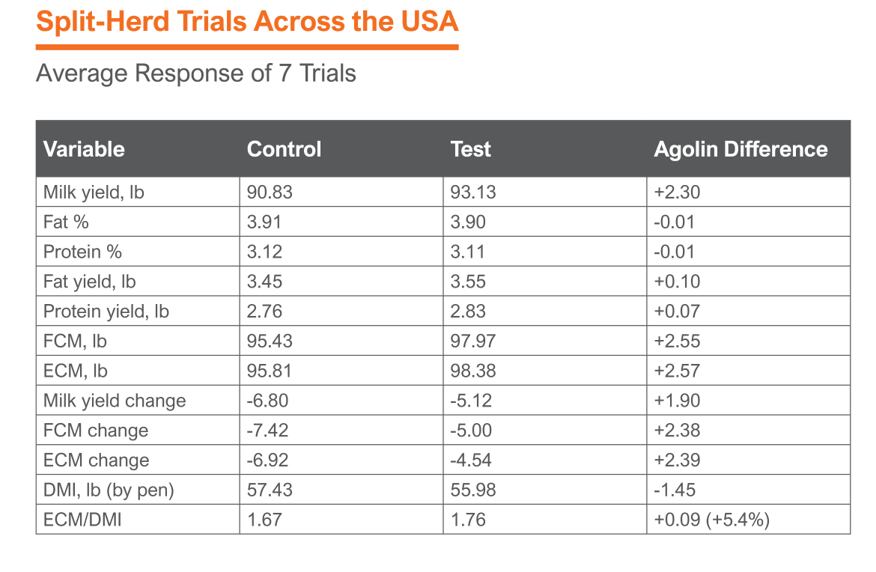 agolin-data.png