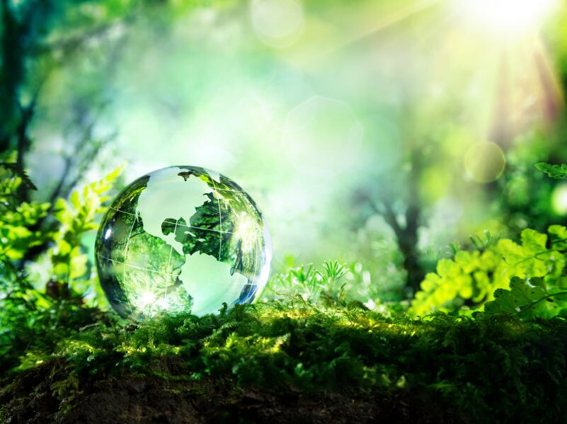 Coca-Cola, Unilever and Danone call for net zero emissions by 2050
