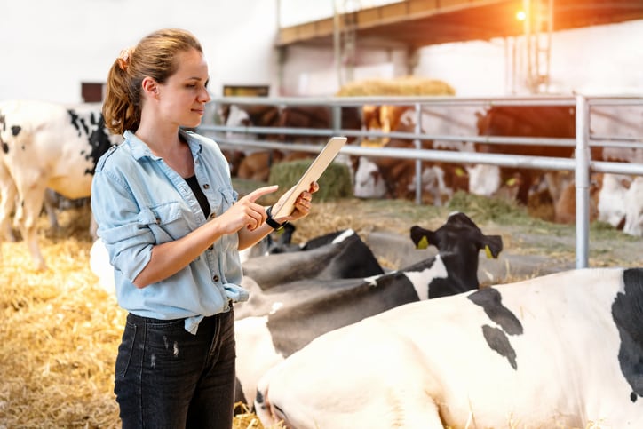 AI ‘vet tech’ set to improve animal welfare and efficiency on dairy farms