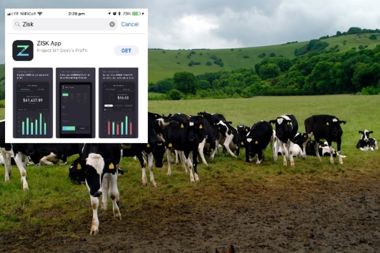 Zisk app launched for dairy farmers