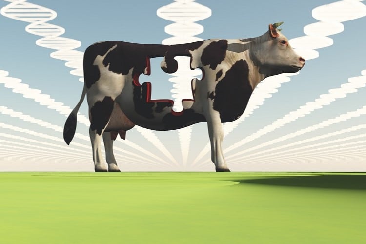 Pascual Innoventures invests in De Novo Dairy and Zero Cow Factory, reveals Mylkcubator 2.0 cohort