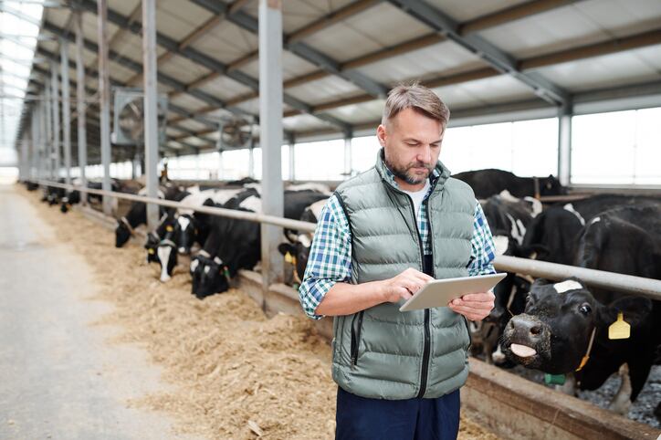 Cargill championing dietary nitrate product to bust methane emissions 