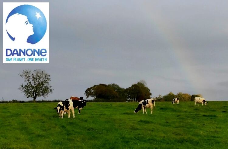 Up-to-2-000-jobs-to-go-as-Danone-reveals-plans-to-reinvent-itself.jpg
