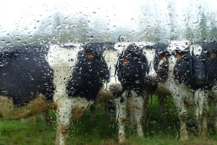 ‘Wettest' British summer leads to calls for early slurry storage preparations
