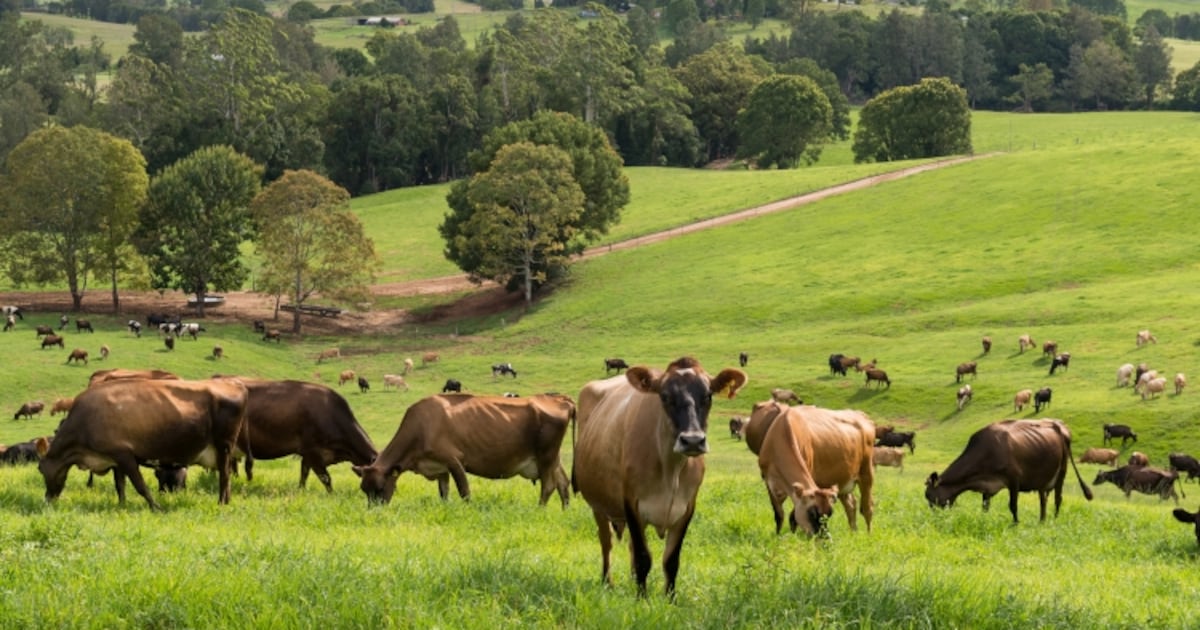 What Fonterra’s leadership overhaul says about its priorities