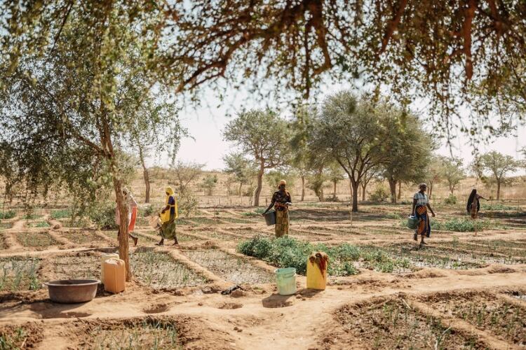 Kerry and Concern Worldwide partner to help Niger communities