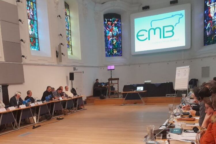 EMB calls for key reforms in the EU agricultural system and climate strategies