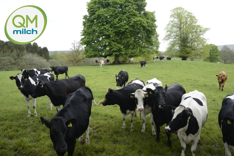 Germany introduces new milk production standards