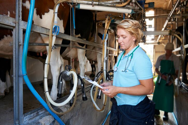 US dairy groups pressure Senate to act on labor reform