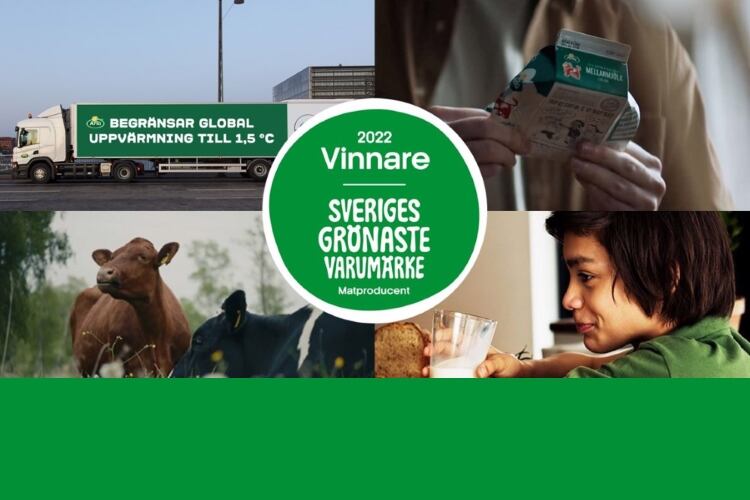 Arla named Sweden's greenest food producer