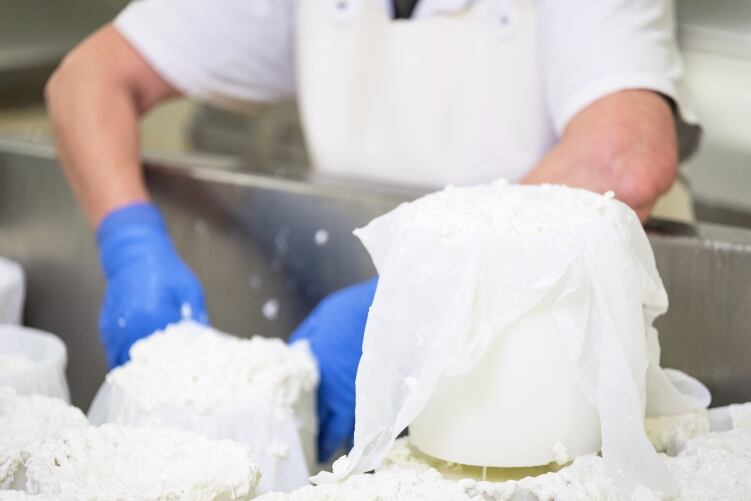 Italian company setting up mozzarella plant in the UK to speed up access to market