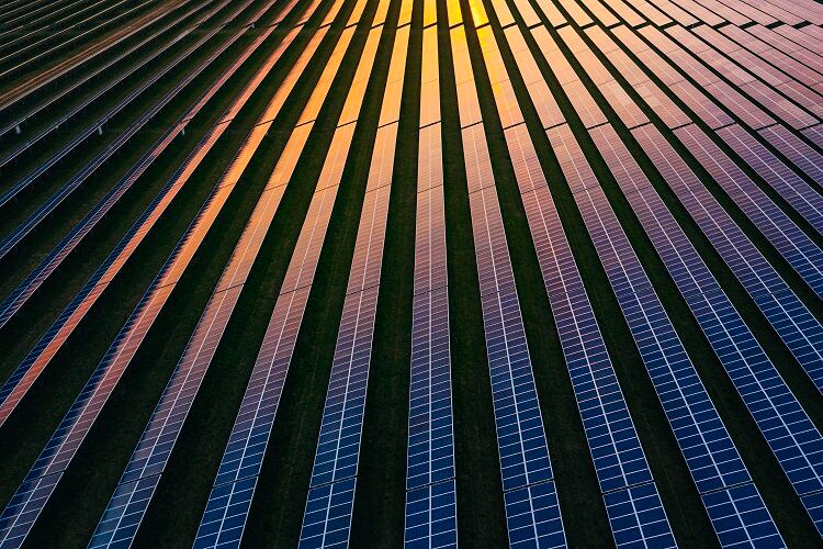 ‘Solar electricity generation does indeed contribute towards keeping farming profitable’: Solar panels on farmland in a cost-of-living crisis