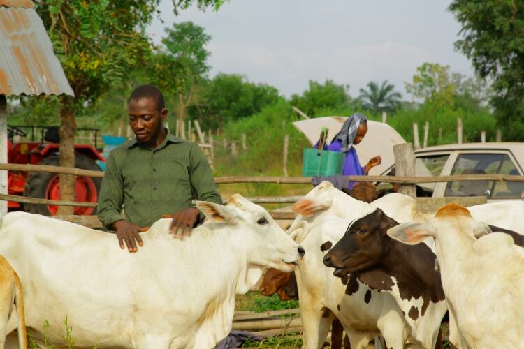 FrieslandCampina WAMCO partners with 2Scale to transform local milk production in Nigeria