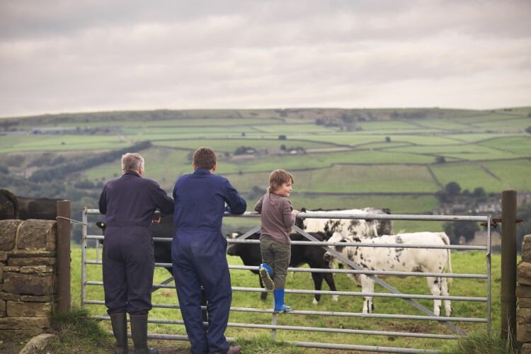 ‘Encouraging’: Defra releases ELM details, plans to ‘evolve’ CS with 30 new actions