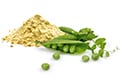 Peas: A sustainable, label-friendly and plant-based source of protein
