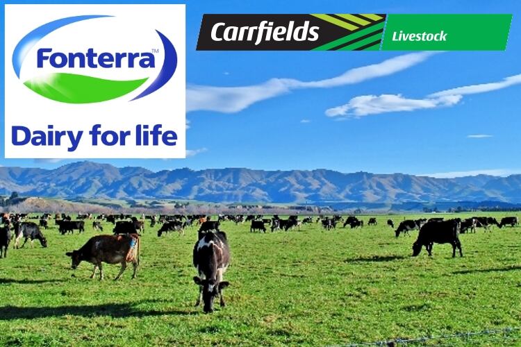 Fonterra to sell Farm Source livestock division