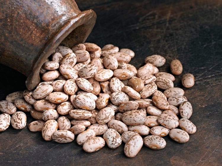 pinto-beans-4kodiak.jpg