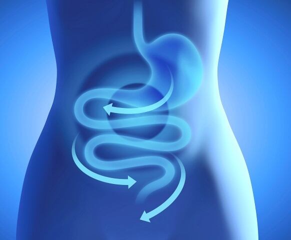 Prebiotic-BENEO-002.jpg