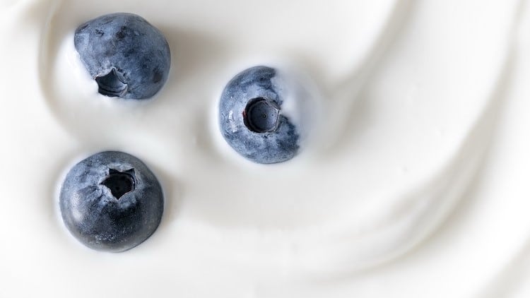 Cultivating Dairy Innovation with YO-MIX® PRIME 