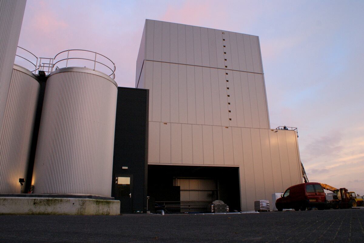 GMP-plant.jpg