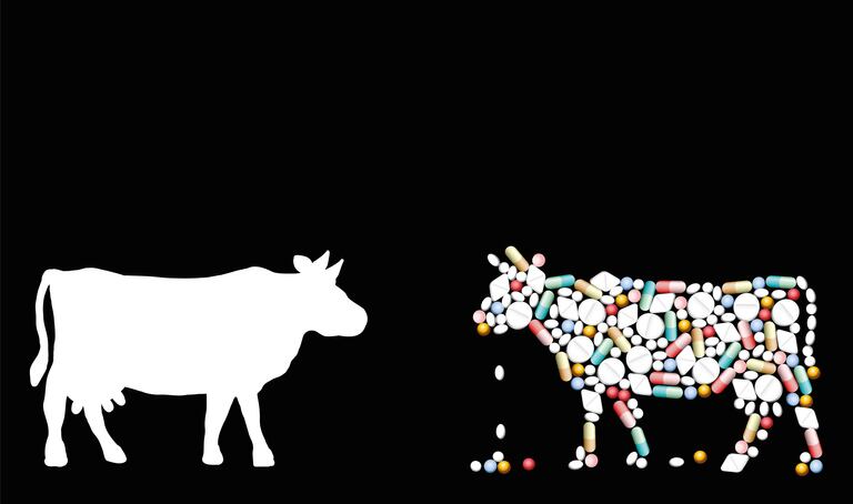 Assessing the risk of AMR in humans from use of antibiotics in farm animals 