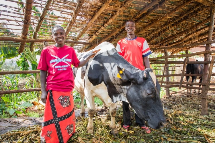 Kerry partners with World Food Programme on milk project in Burundi