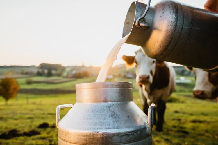 What’s AIMS, the new milk assurance scheme for British dairy businesses?