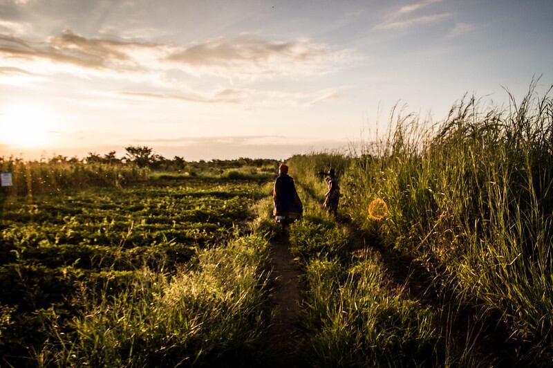 Seven global agricultural projects funded for Venture37