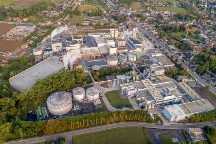 BENEO announces investment in Chile and Belgium chicory root fiber facilities