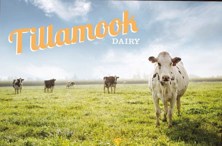 Tillamook-Dairy.jpg