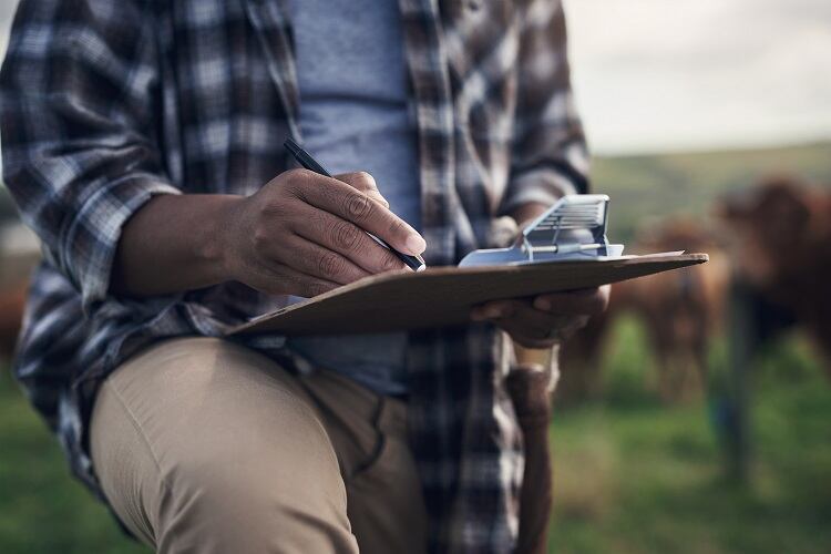Arla's Sustainability Incentive explained: How farmers can earn extra eurocents for their milk