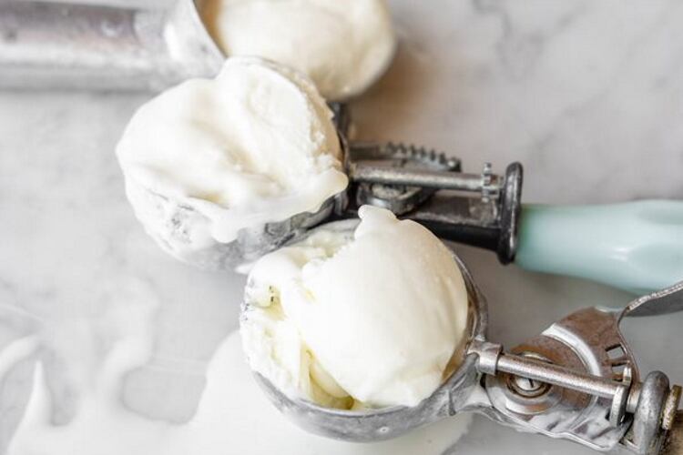 Natural Yogurt from Scúp Gelato