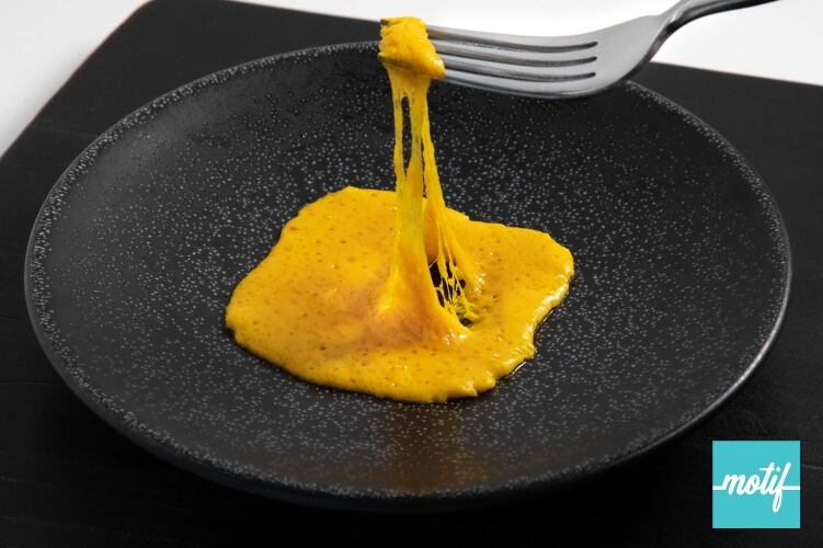 Motif FoodWorks accesses transformative plant-based technologies 