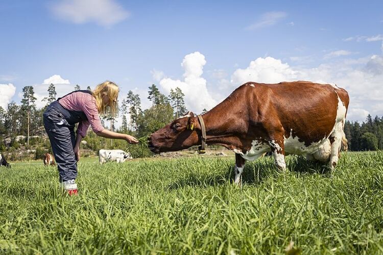 All Valio dairy farms receiving a sustainability bonus