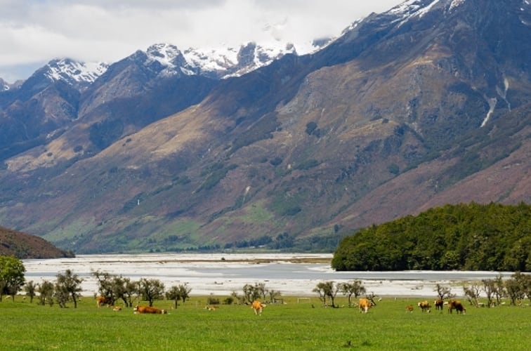 NZ proposals must find balance between the environment and farmers’ needs