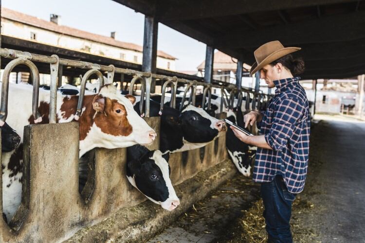 Canadian government invests in DFC to bolster dairy’s economic, environmental and social sustainability