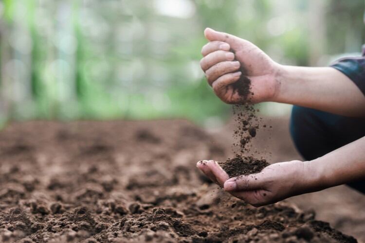 “Our tech can turn organic materials into sustainable fertilizer”: N2 Applied eyes expansion into ‘broader areas of food production’