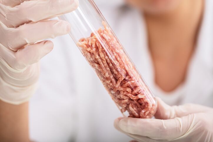 UK mulls rule changes to allow faster cultivated meat and animal-free dairy approvals