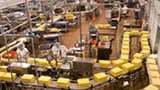 How liquid gas can help dairy producers cut emissions and costs  