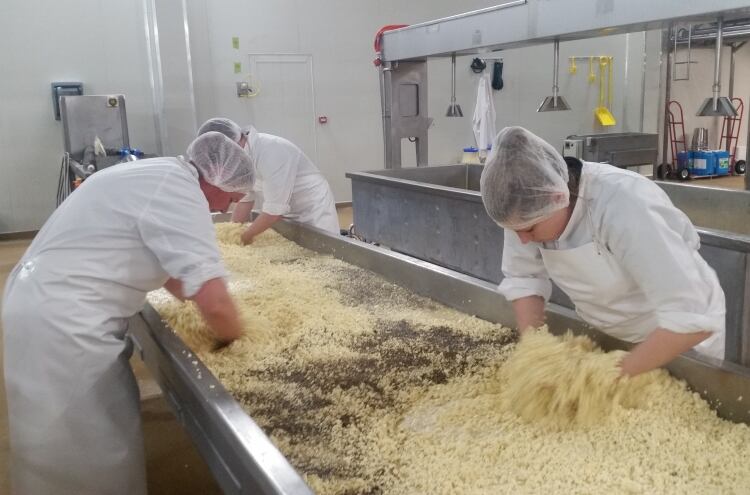 Synlait completes Talbot Forest Cheese acquisition