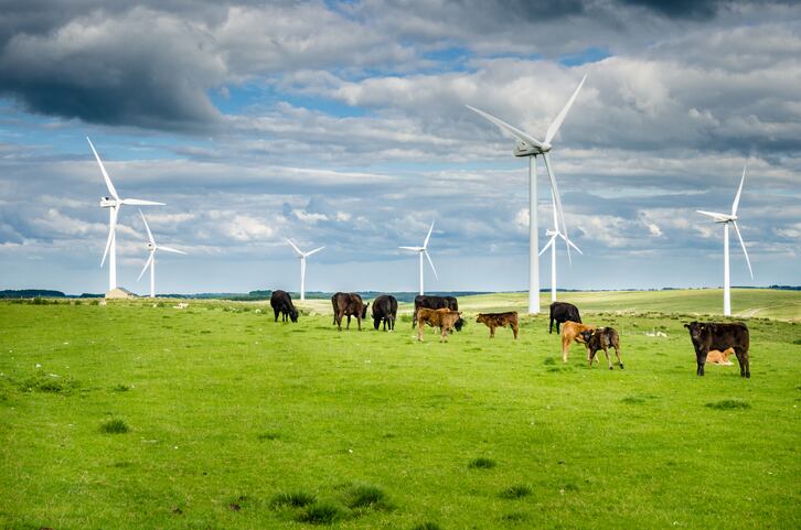 DMI exec talks sustainability strategy after six months on the job