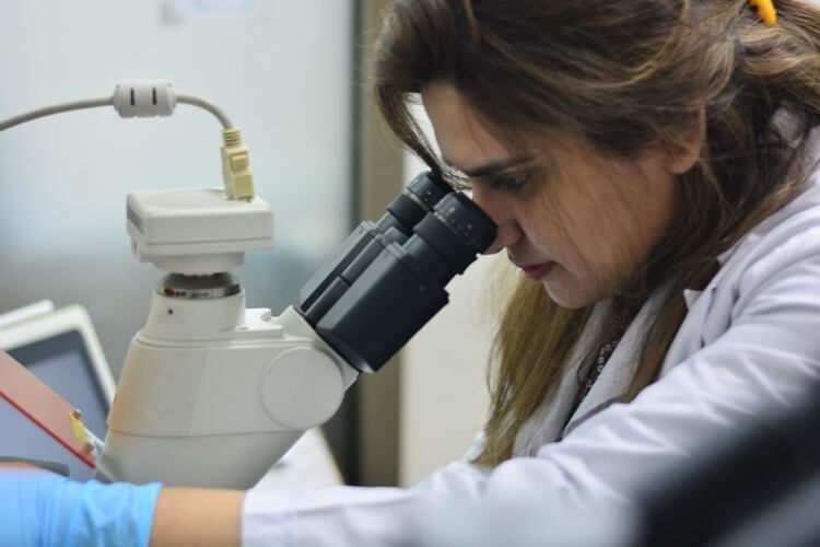 TurtleTree Labs secures funding for production of milk from cells