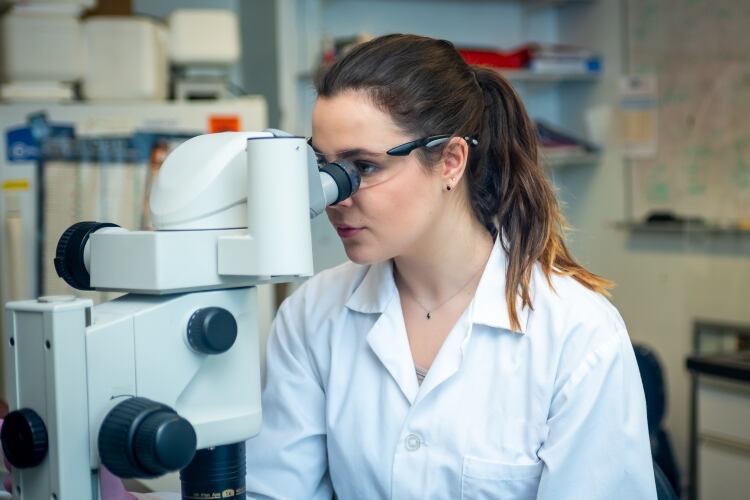 2020-2021 Danone North America Gut Microbiome, Yogurt and Probiotics Fellowship Grant open for applications