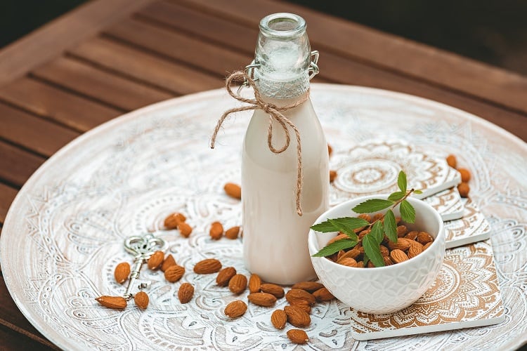 Industry Insights from NIZO - The 'next generation' of plant-based drinks: protein parity