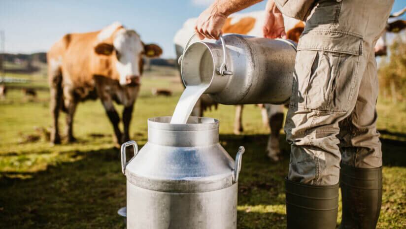 USDA-grants-11.04m-for-dairy-producers-businesses-to-spur-innovation-across-the-country.jpg