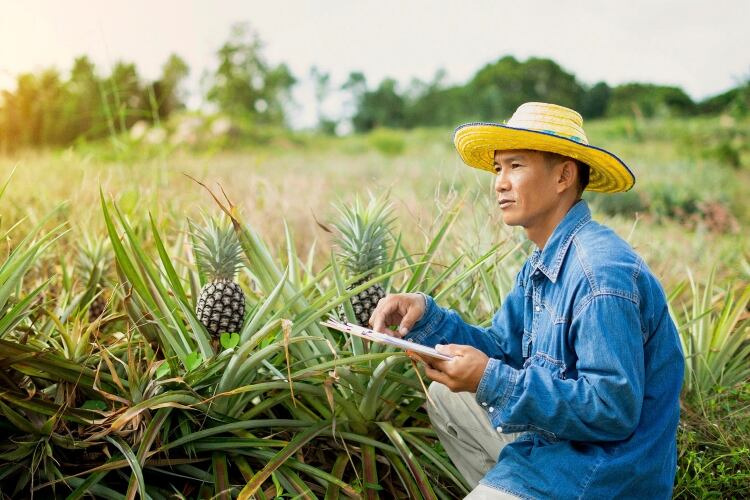 Tetra Pak calls for collaboration on sustainability challenges in food packaging