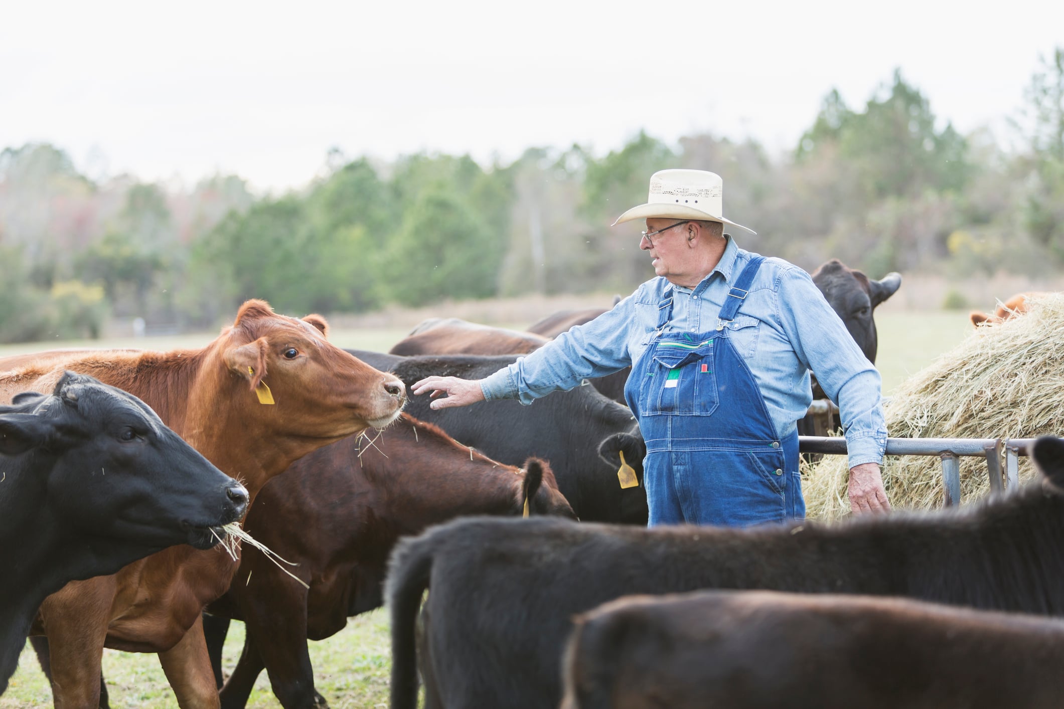 US farmers optimistic but wary of trade war